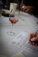 CIWIB-2024-V-Dégustation-029