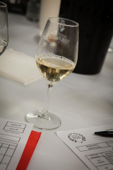 CIWIB-2024-V-Dégustation-037